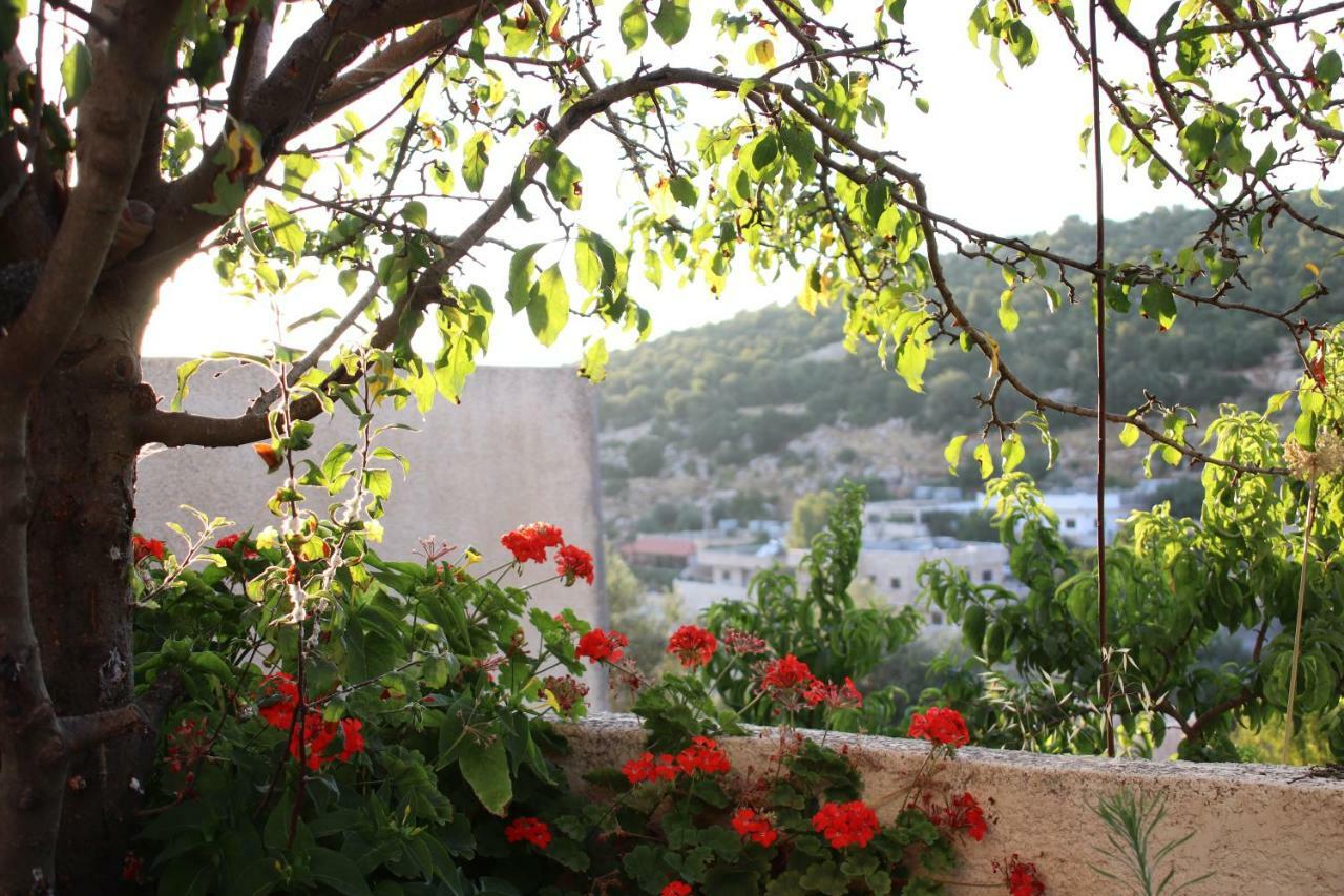 Mhna Guest House ‘Ajlūn Exterior foto